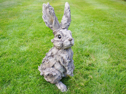 Bunny Rabbit