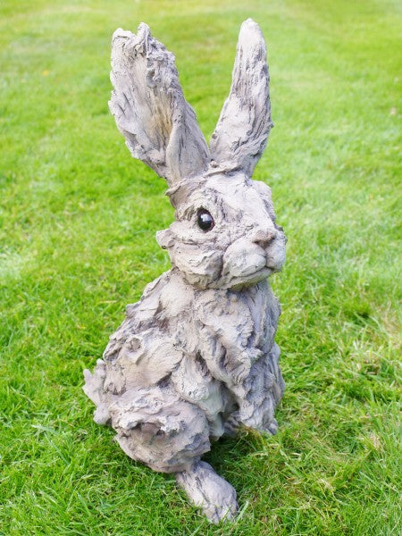 Bunny Rabbit