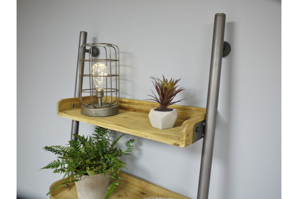 Ladder Shelving Unit