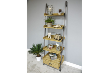 Ladder Shelving Unit